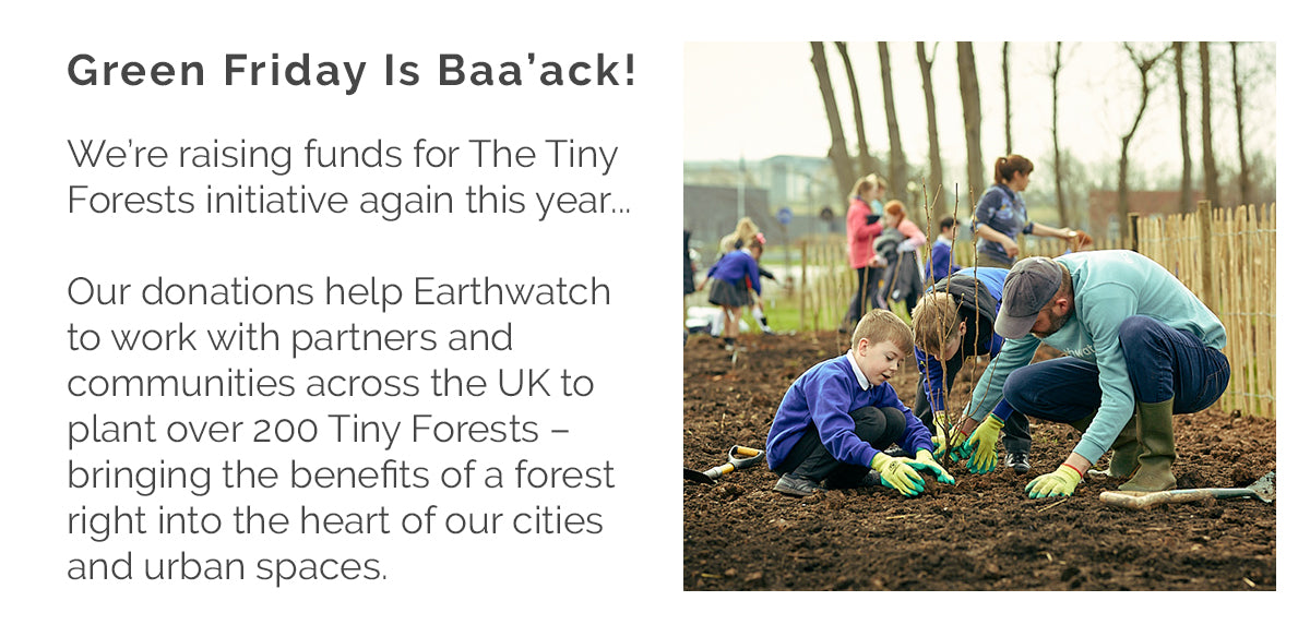 Our donations help Earthwatch to work with partners and communities across the UK to plant over 200 tiny forests