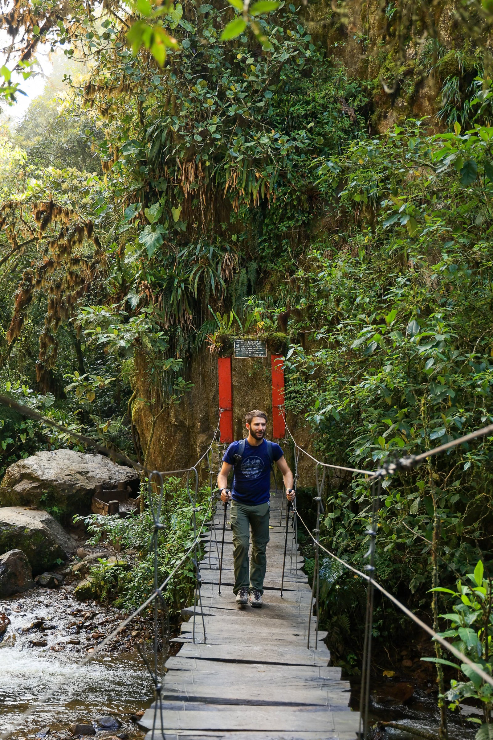 Baptiste on a rope bridge – Hiking in a jungle setting.