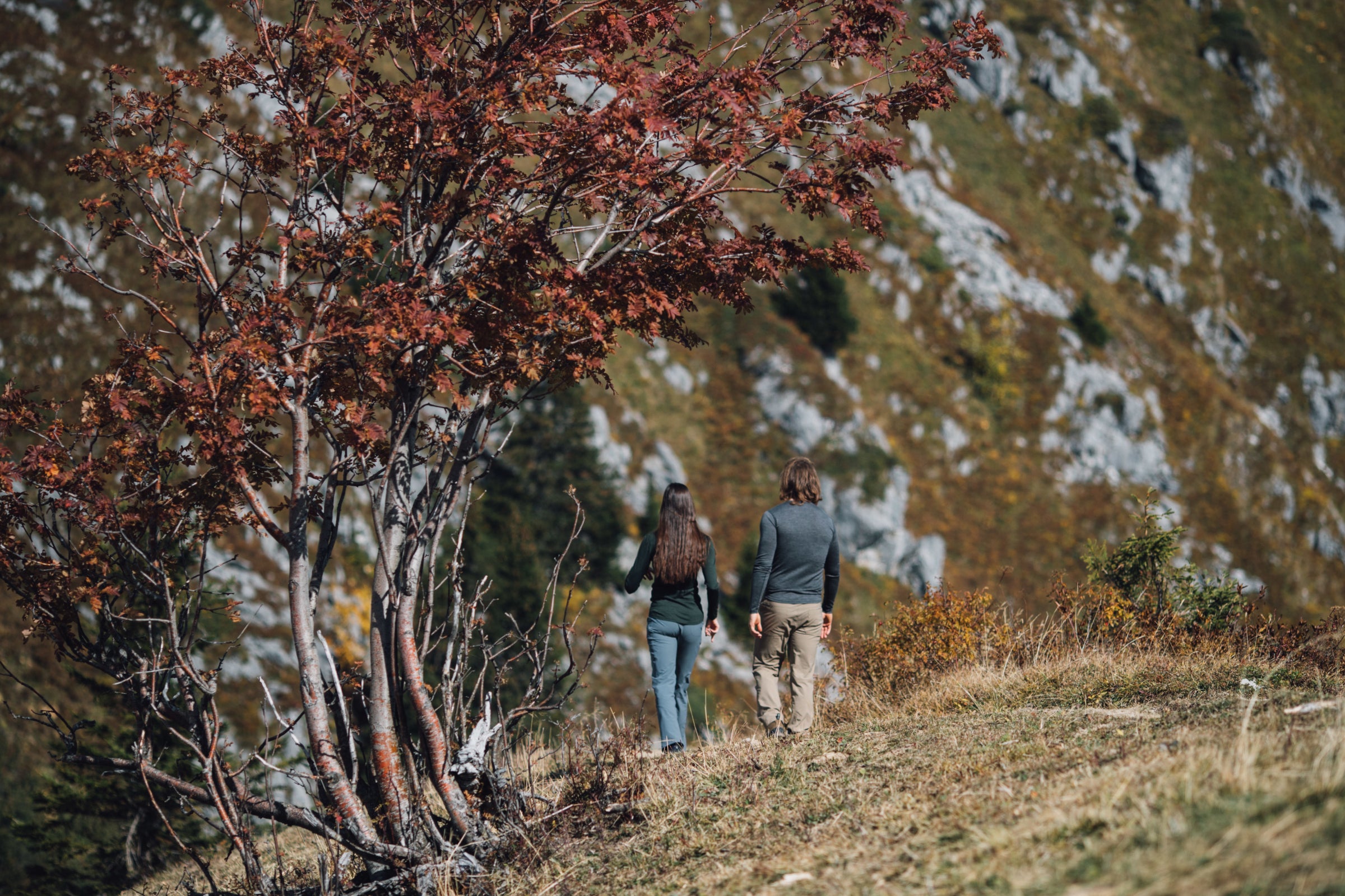 Two hikers walking uphill near a tree with autumn leaves