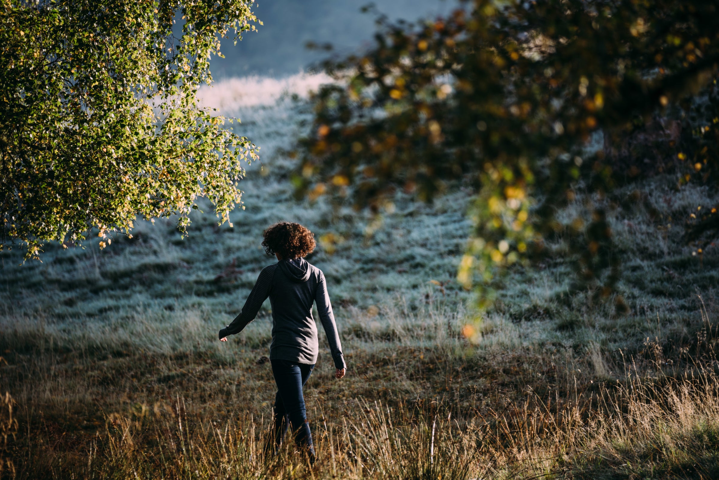 A person walking through a grassy field under a tree in the early morning light